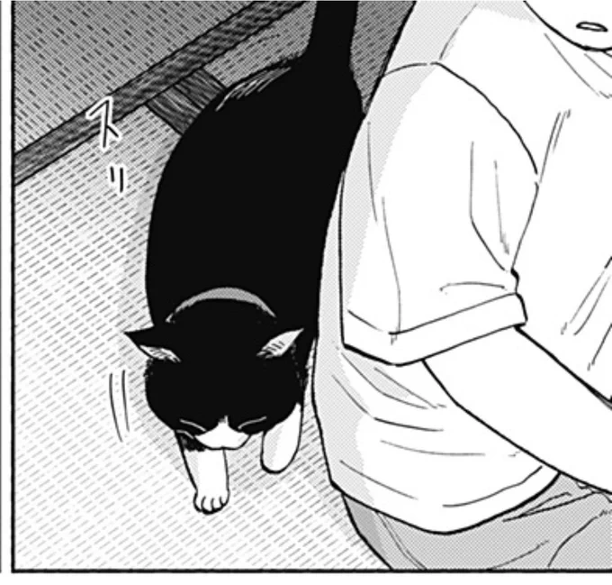 作中ではのり天が冬毛を纏い始めました🐈‍⬛
今話も読んでくれてありがとう!
次はちょっと長いよ♨️楽しみにしててね!
https://t.co/k2PangfIeA 