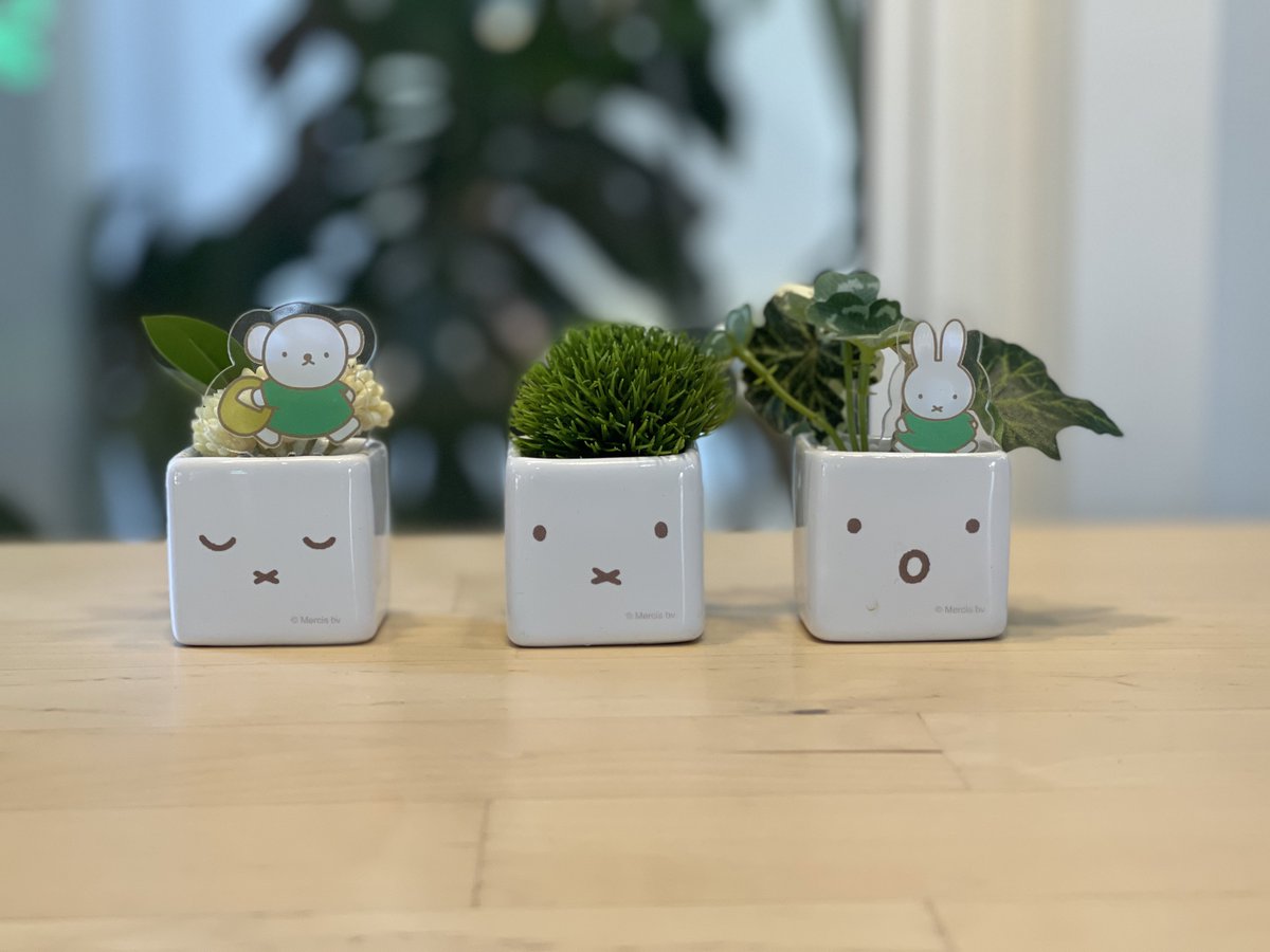 Likeview3's tweet image. ... มัทฉะมะพร้าวดีงาม ❤️
#ลืมถ่าย 😅