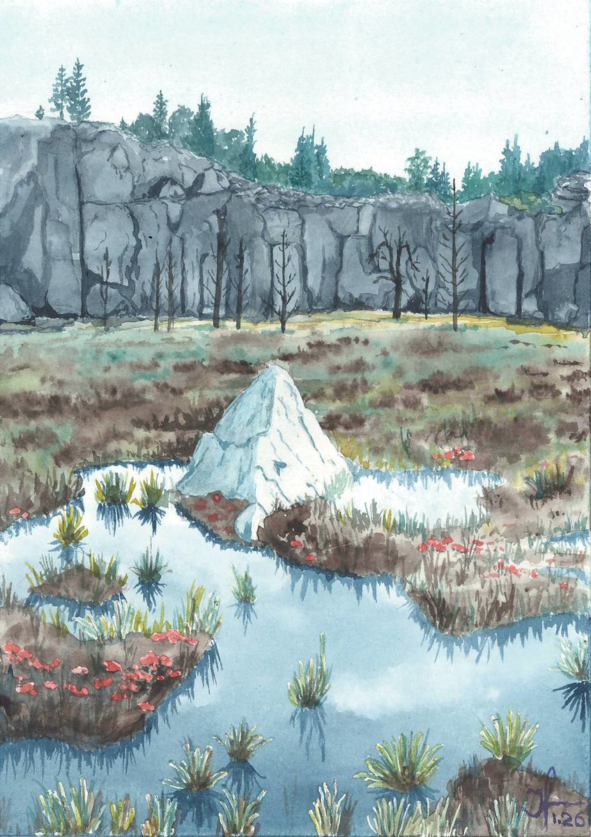 Воттоваара (ну, так под фоткой было написано), Карелия
#art #watercolor #акварель