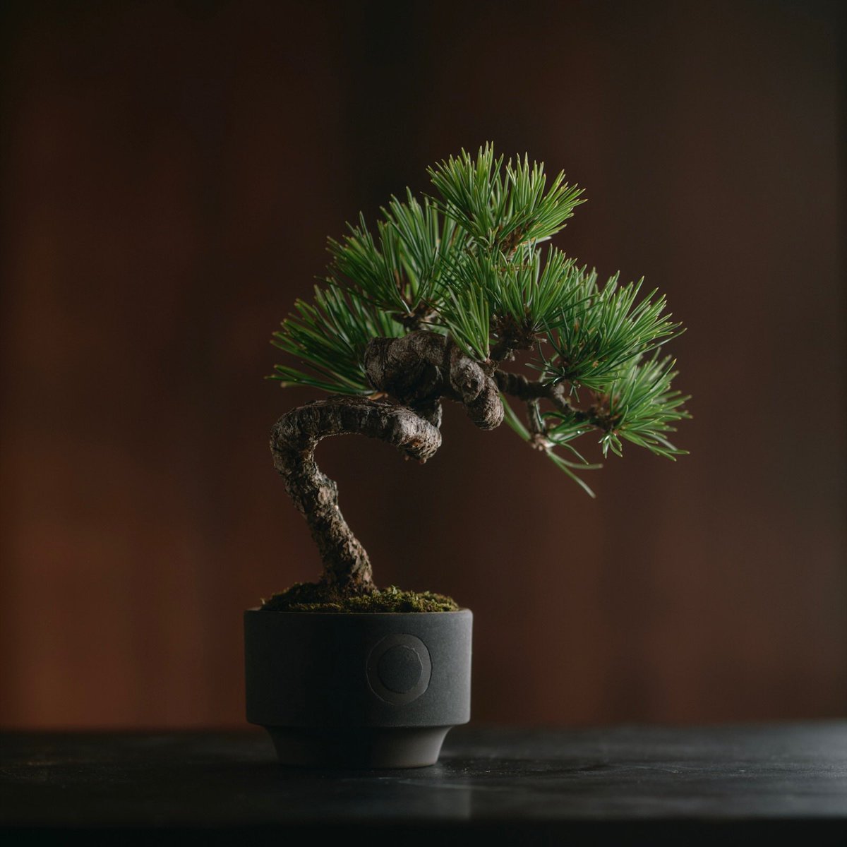 QUTOTEN. (@qutoten_jp) / Posts / X