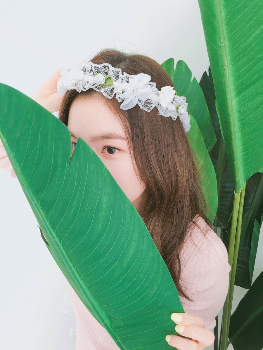 🫧📸 tweet media