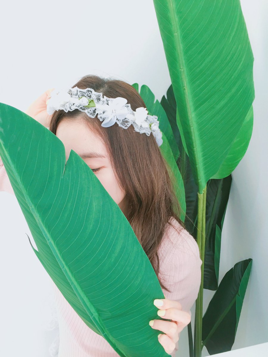 🫧📸 tweet media