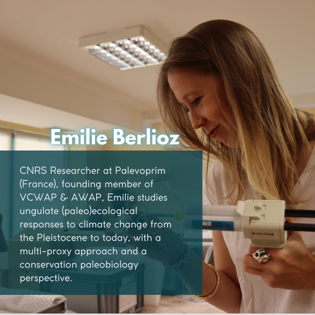 Virtual Conference For Women Archaeo and Paleo tweet media