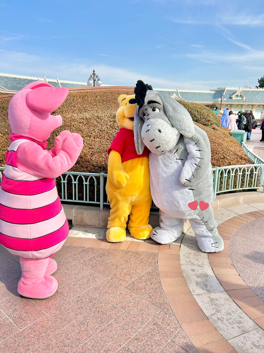 ピグレット🐷 (@pigletniaitai) / Posts / X