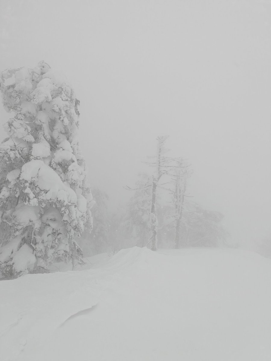 Mahg0's tweet image. 蔵王もすごく楽しかった。ジンギスカンも蔵王の名物だなんて知らなかった。北海道だけかと思ってた。