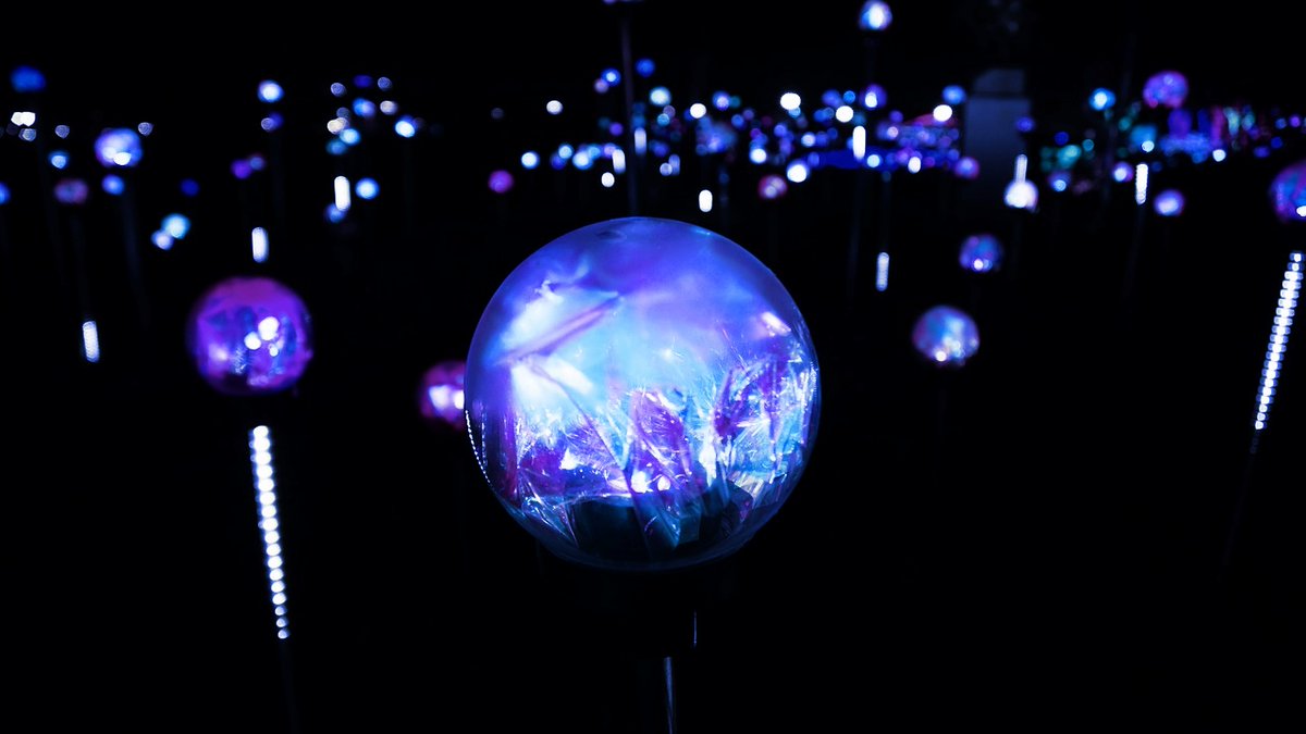 7/25（土）開催予定『星降る森の魔法市 星柳ノ章（神奈川特別回）』につきまして、最大出店可能数を大幅に超えるお申込を頂戴しました。

現在、会場内の安全面を考慮した上で配置ブースの再調整を行っておりますが、その調整を行った上でも抽選漏れが発生してしまう見込です。