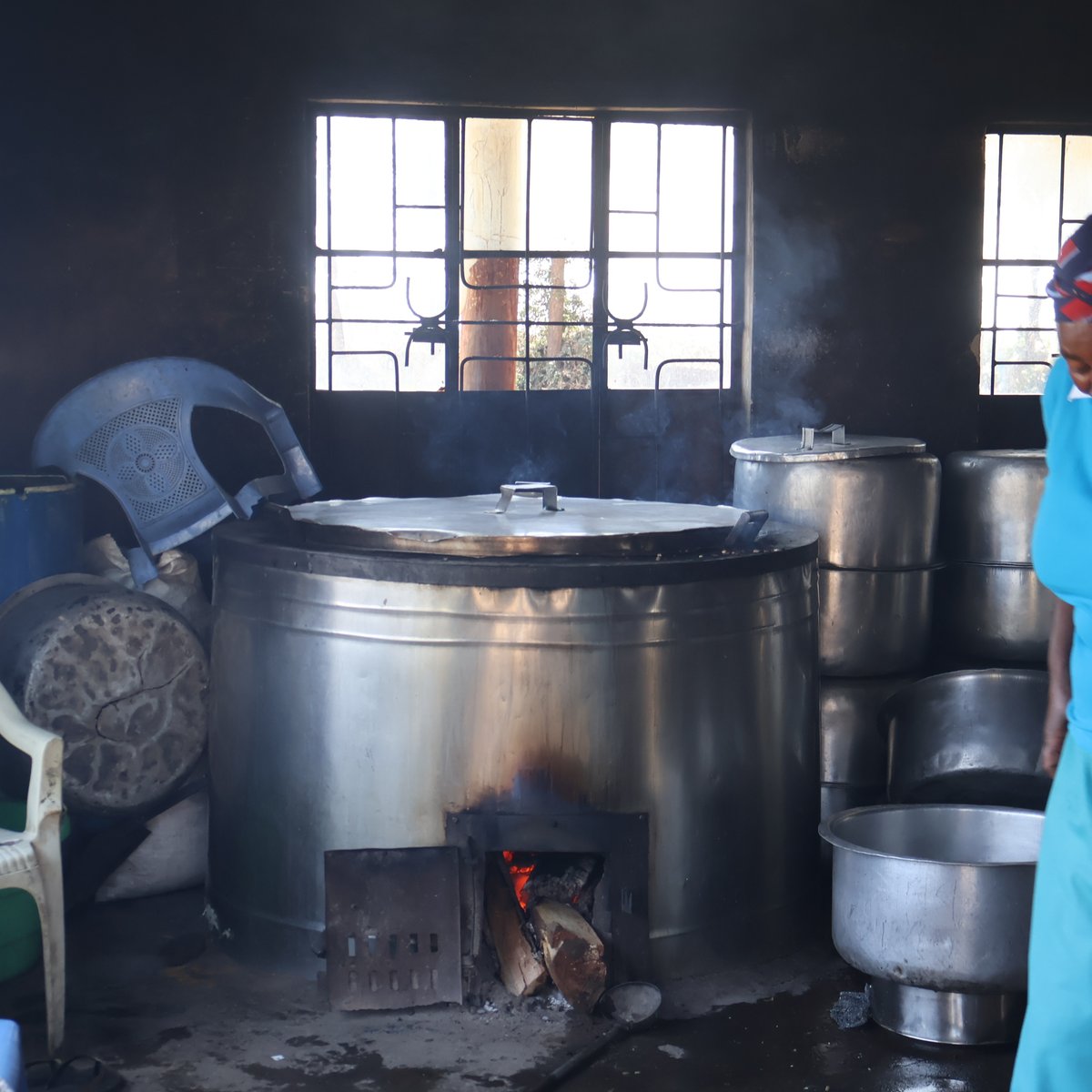 Feion Green Ventures tweet media