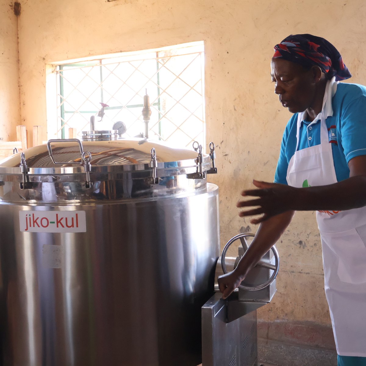 Feion Green Ventures tweet media