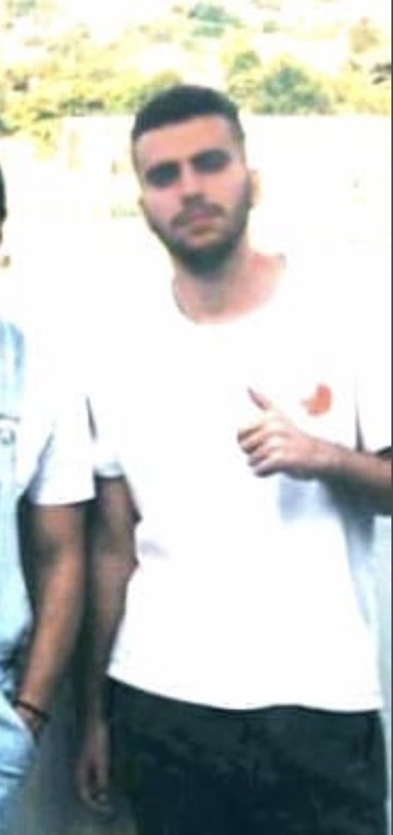 StarPlatinum tweet media