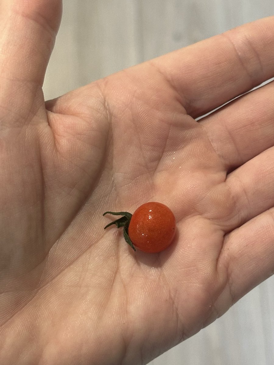 Magners Farm tweet media