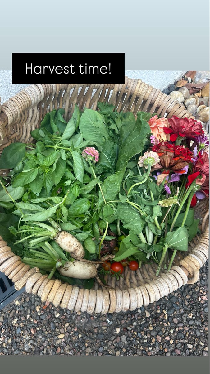 Magners Farm tweet media