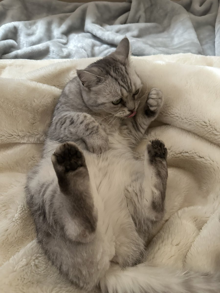 aohanaaaa's tweet image. 