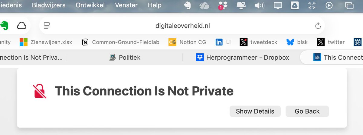 Martin Pronk 💬 tweet media