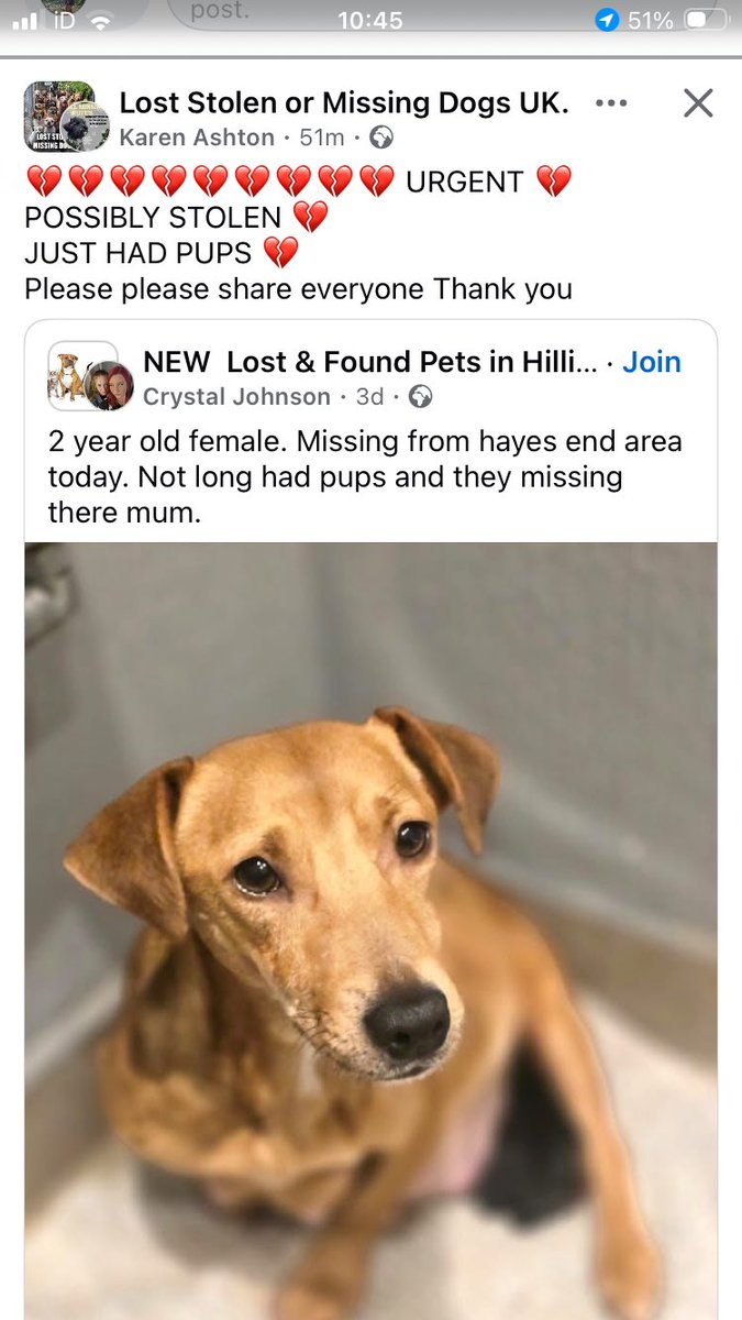 Please share - missing possibly stolen

facebook.com/share/p/1XT8Rb…