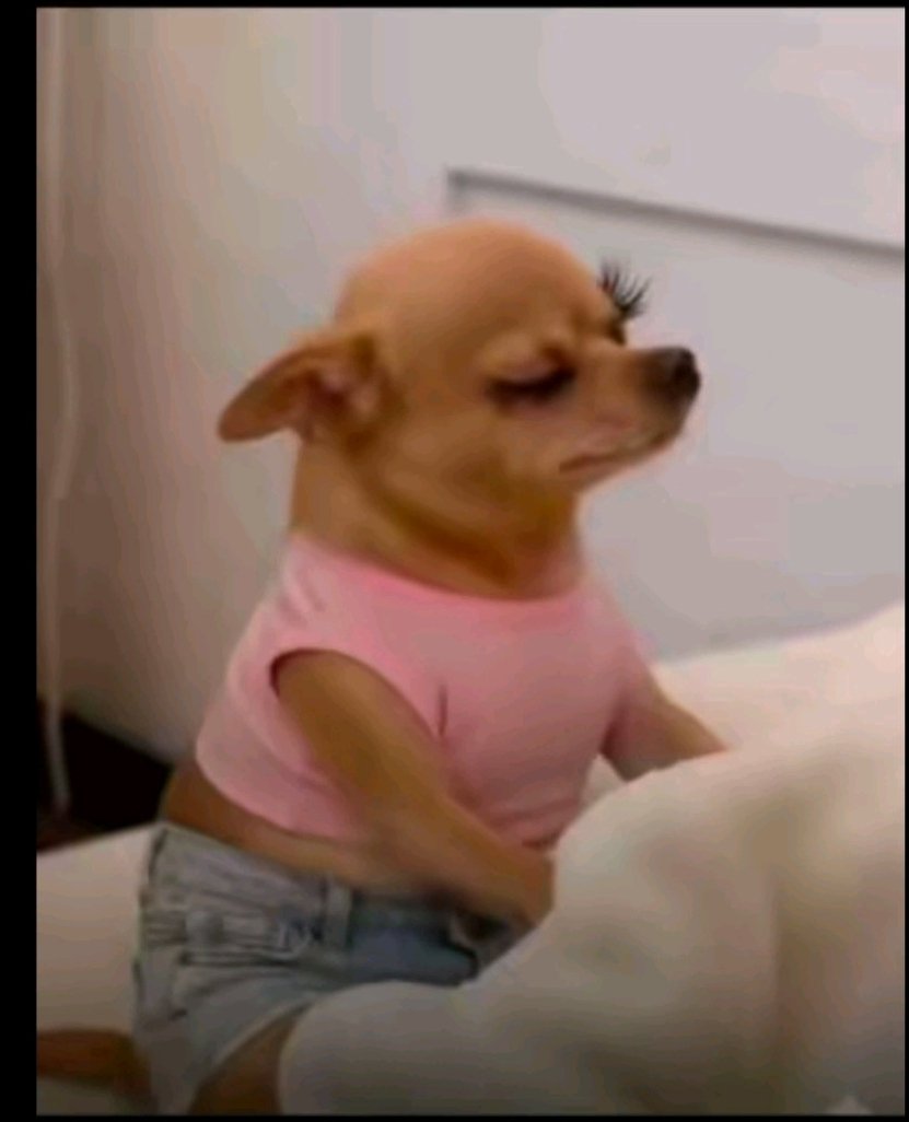 na_praise's tweet image. Everybody get watin dey worry them, like me now na money dey worry me🤧