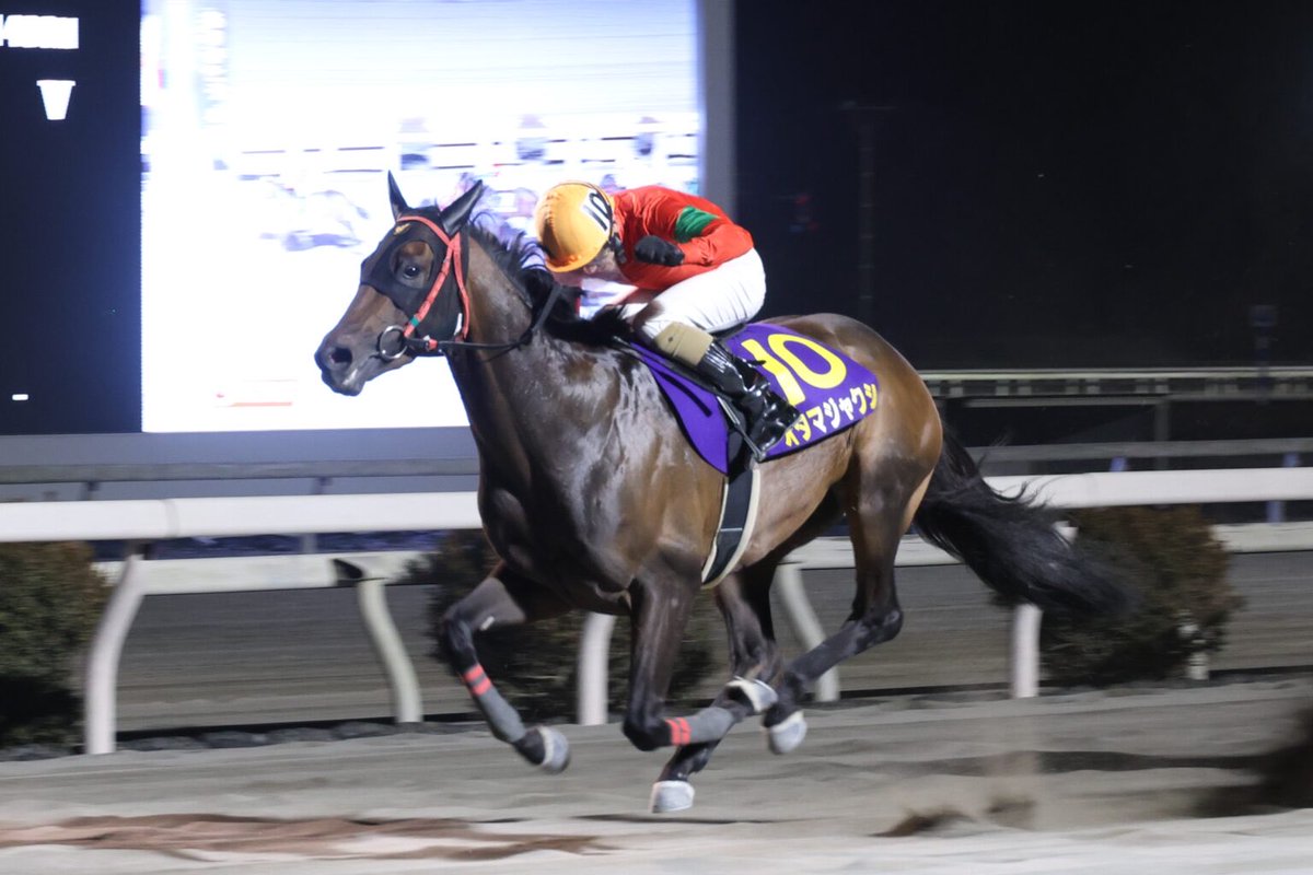 伽耶ステークス (@KayaStakes0515) / Posts / X