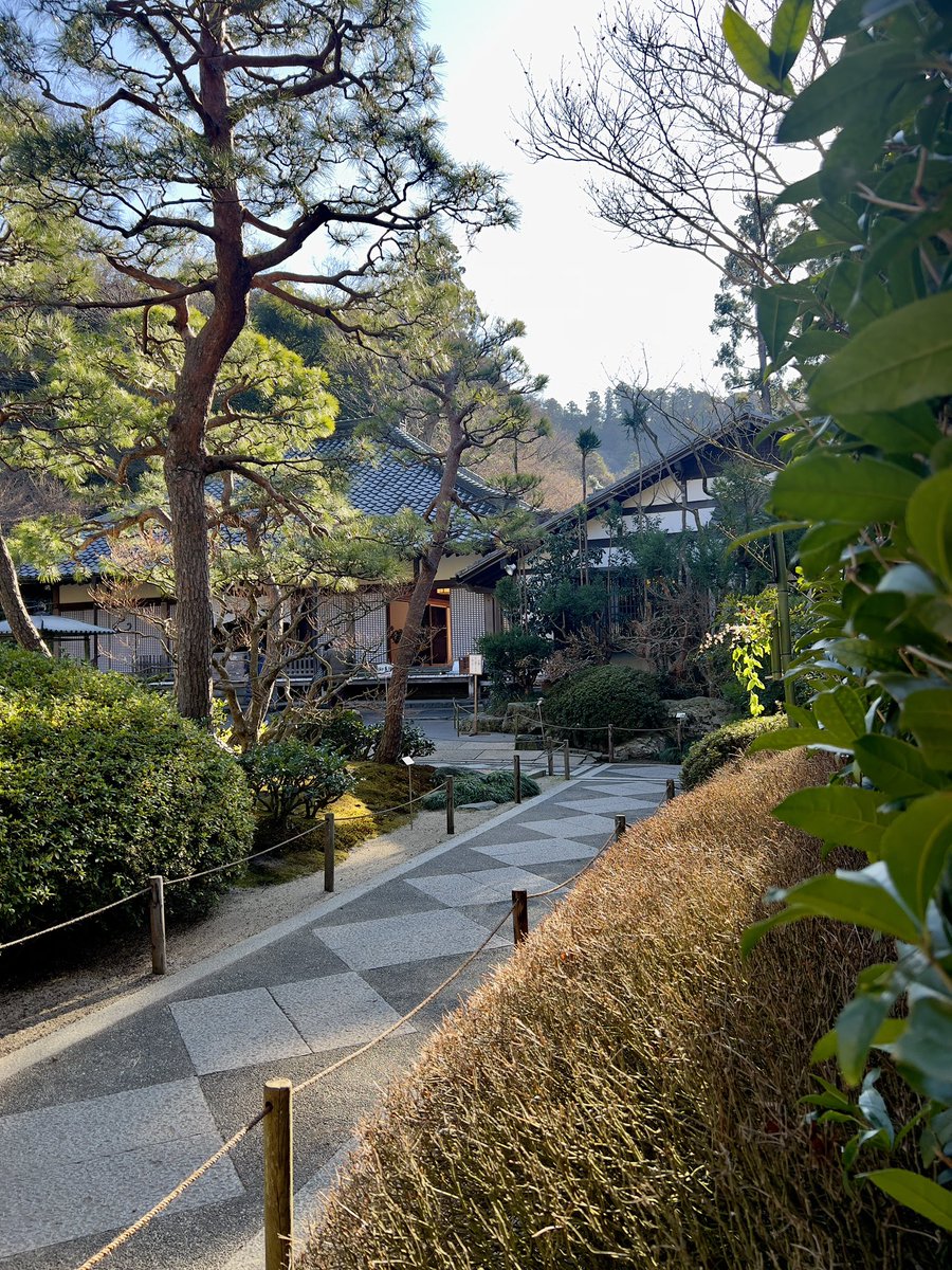 paintskies's tweet photo. Kamakura, Japan https://t.co/00sbOvWXd9