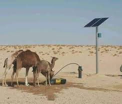 أخبار عاجلة tweet media