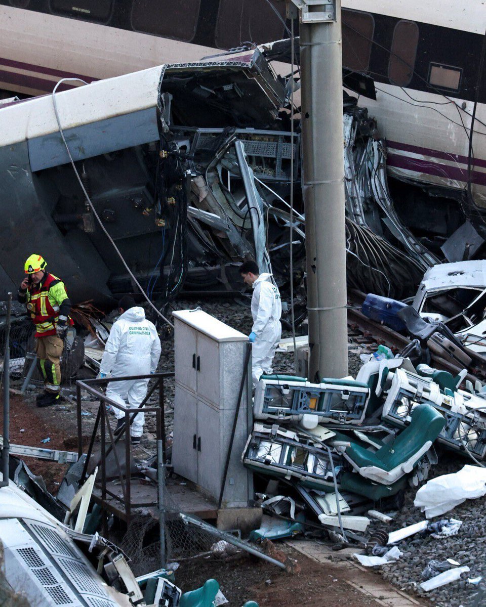 Jujo🌿 tweet media