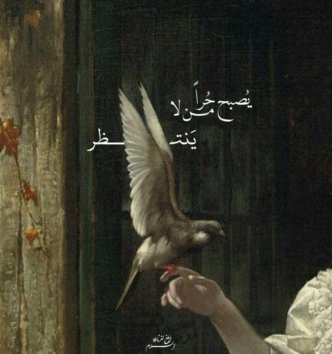 يُصبح حُرًا من لا يَنتظر.