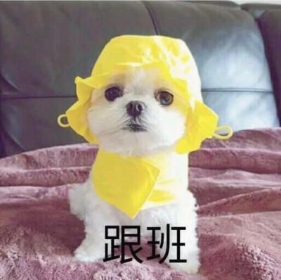 spanos982's tweet image. City lights got me in my feelings tonight