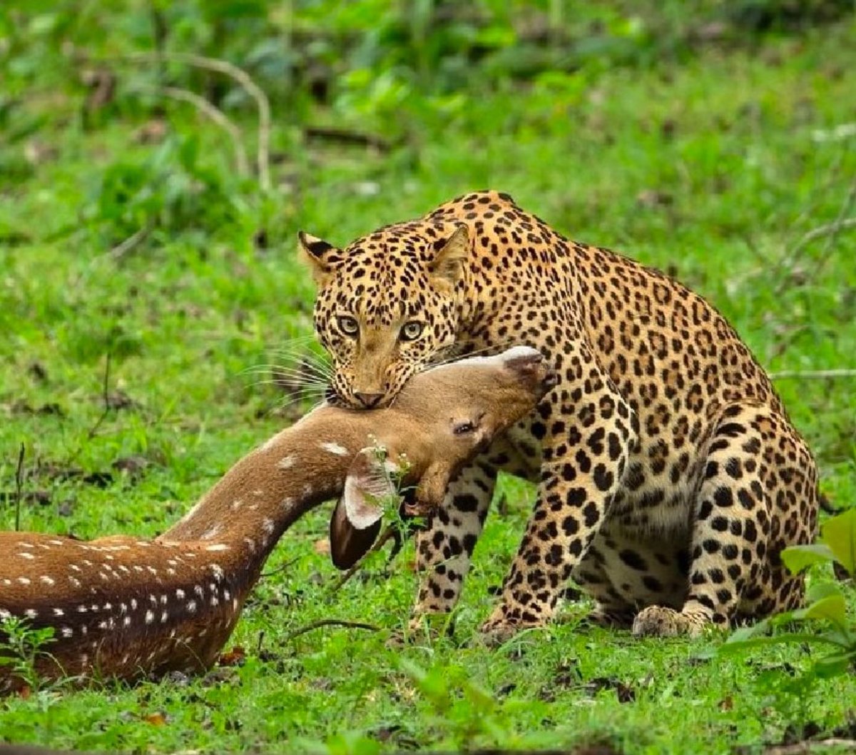 Mo🌖 (@mownohoes) on Twitter photo 