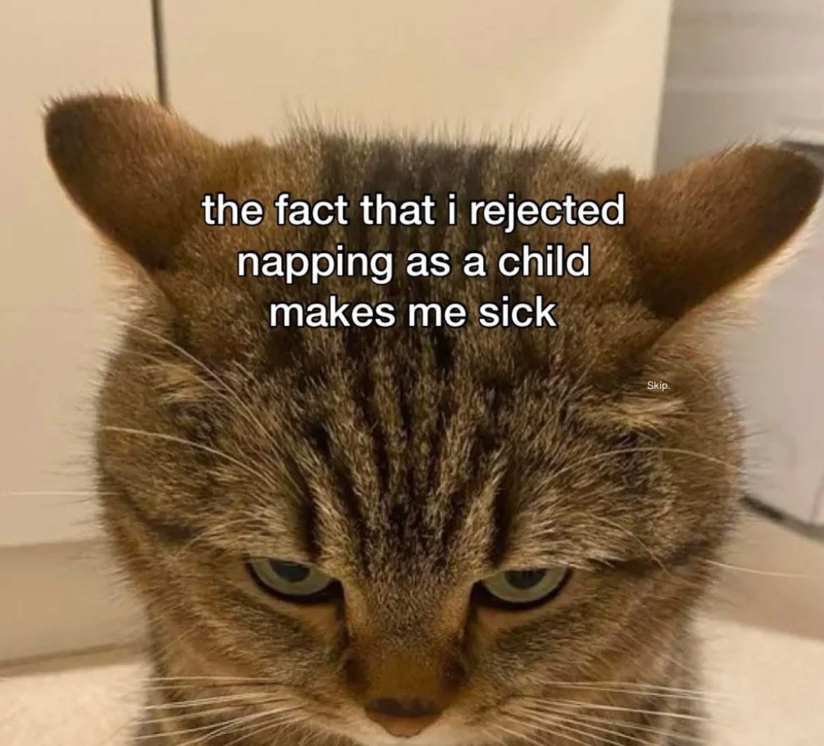 RespectfulMemes's tweet photo. https://t.co/3Dcoc133KU