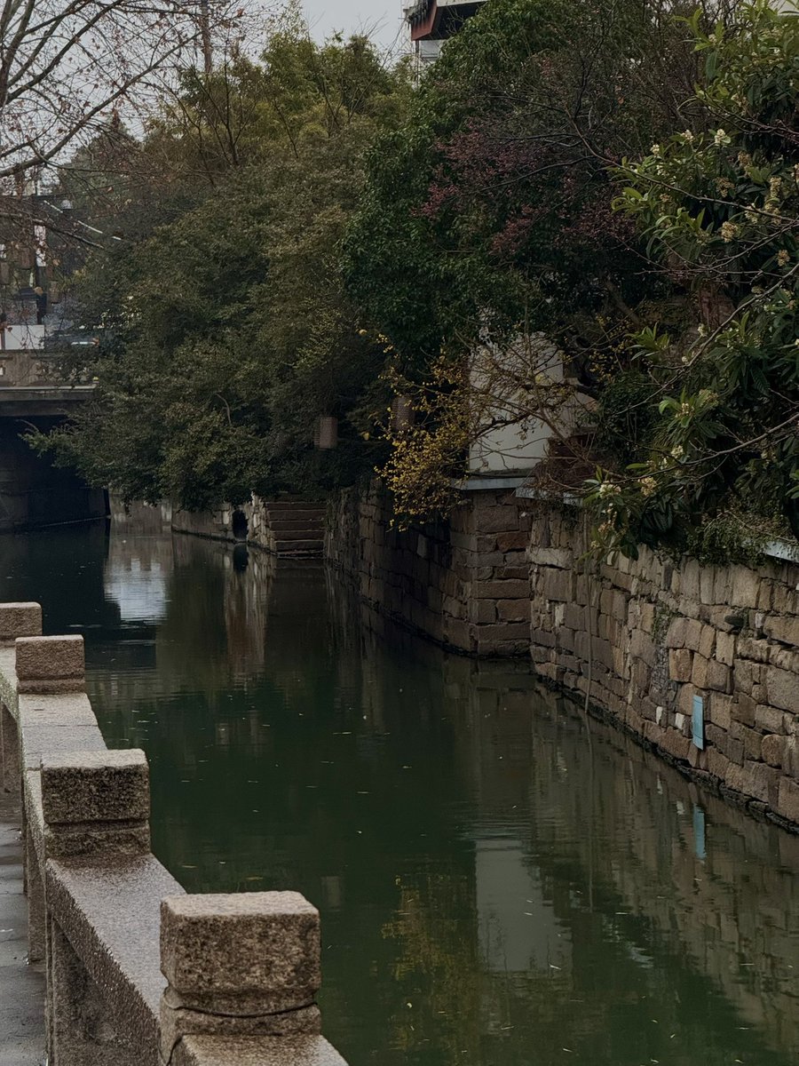 出门冷得头疼，
头发还剪砸了