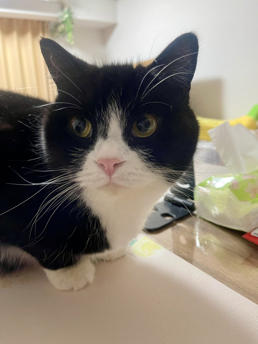 たろう (@taro20216) / Posts / X