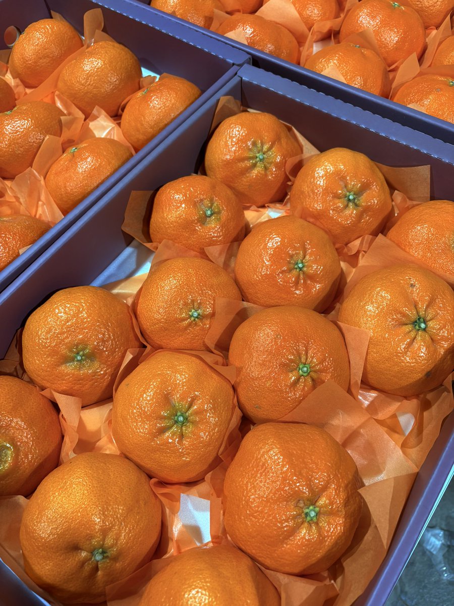 코루🍊 tweet media