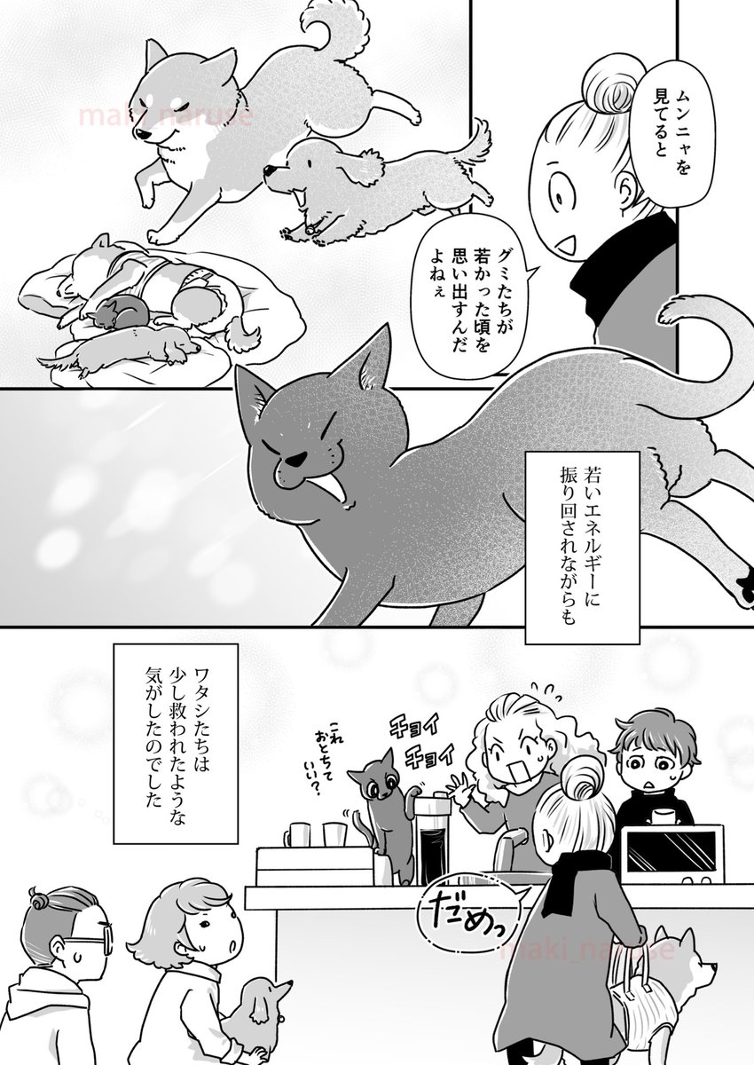 シニアになったグミと銀次郎の漫画(2/2)

12話目🐾

#グミ銀
#グミ王子
#柴犬銀次郎
#末っ子ムンニャ 