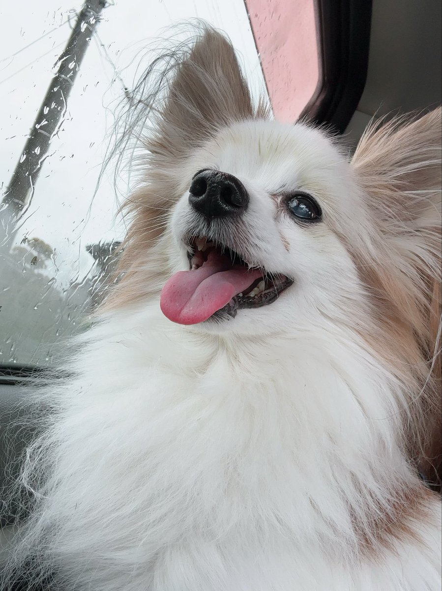 すみ🐕💓 tweet media