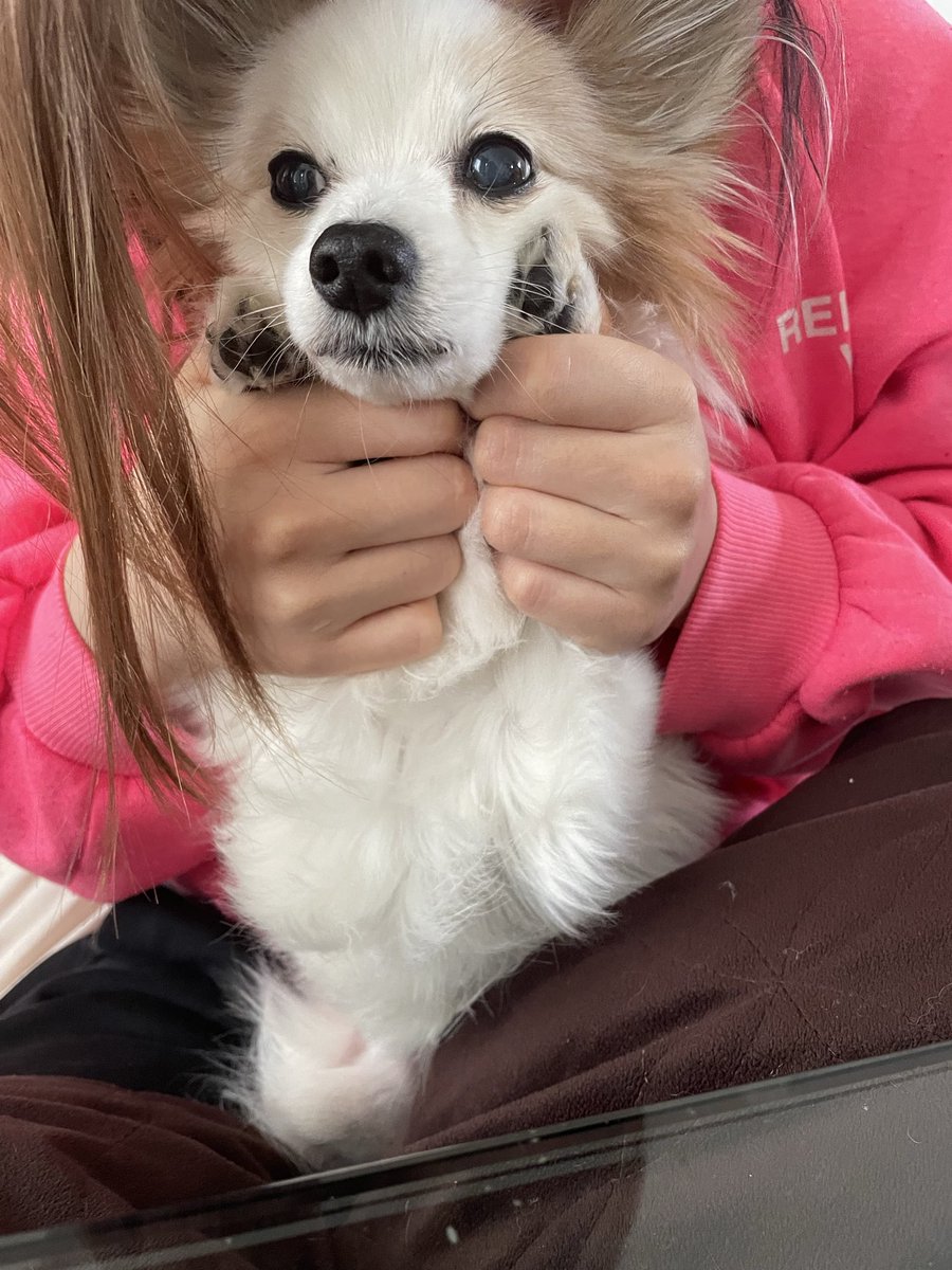 すみ🐕💓 tweet media