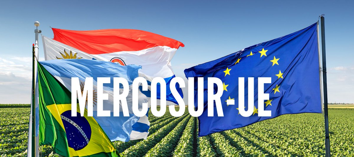 🖋️ Hoy: Acuerdo UE-Mercosur. ¿Lo barato sale caro?

📡 Cada lunes, a las 13:10 en “Más de Uno”, con <a href="/VicentePozas/">Vicente Pozas</a> y <a href="/Josemicp/">José Miguel Campos</a> 

📻 Onda Cero Cáceres 91.6FM

🎙️ Te mereces esta radio.