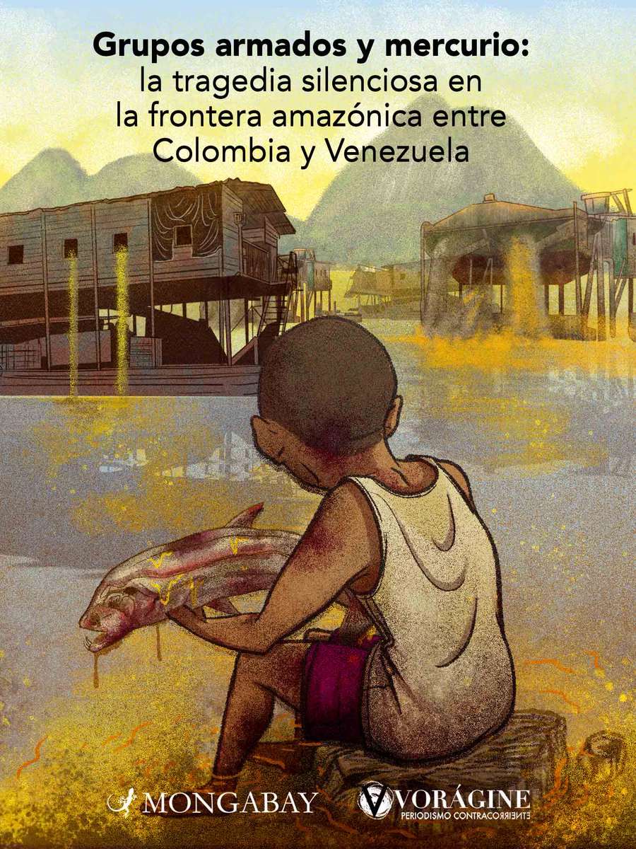 VoragineCo's tweet image. Junto a @MongabayLatam investigamos la presencia de 31 balsas mineras en Guainía que extraen oro ilegalmente. Según fuentes y documentos de inteligencia, estas unidades estarían controladas y financiadas por el ELN y las disidencias de las Farc. voragine.co/historias/repo…