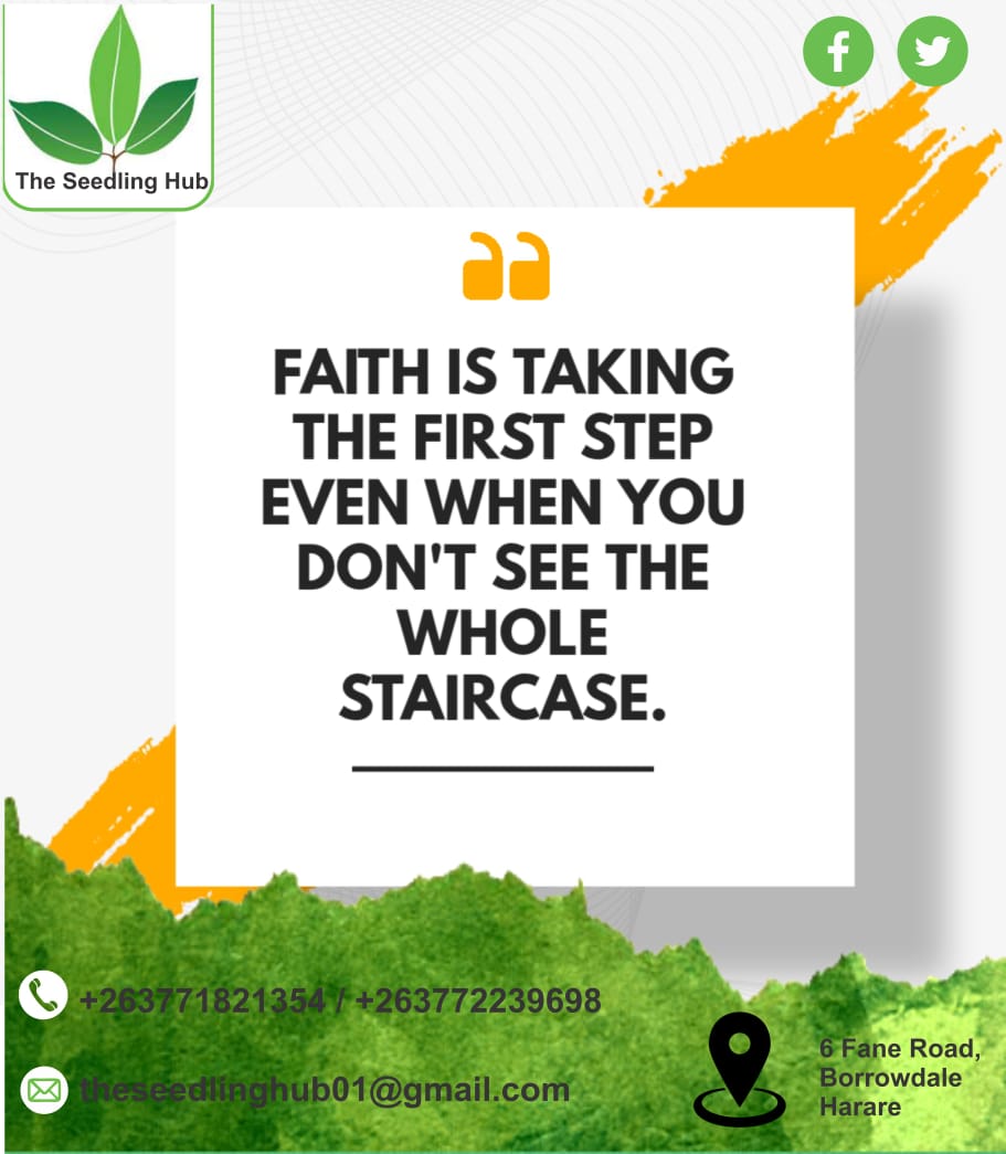 The Seedling Hub tweet media