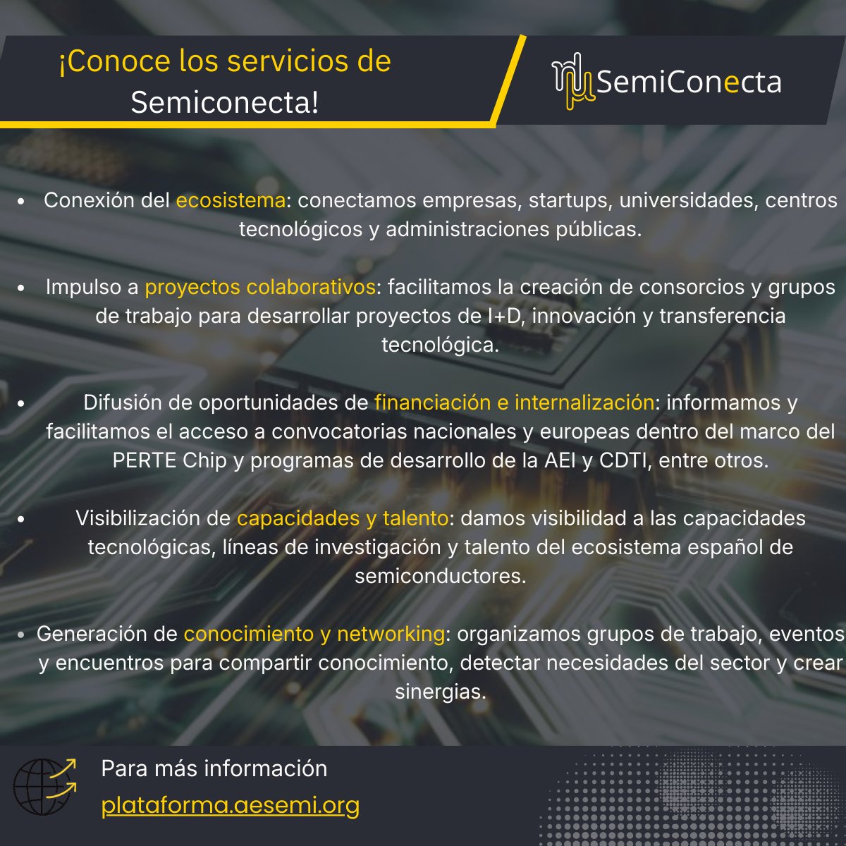 SemiConecta Plataforma Chip Española tweet media