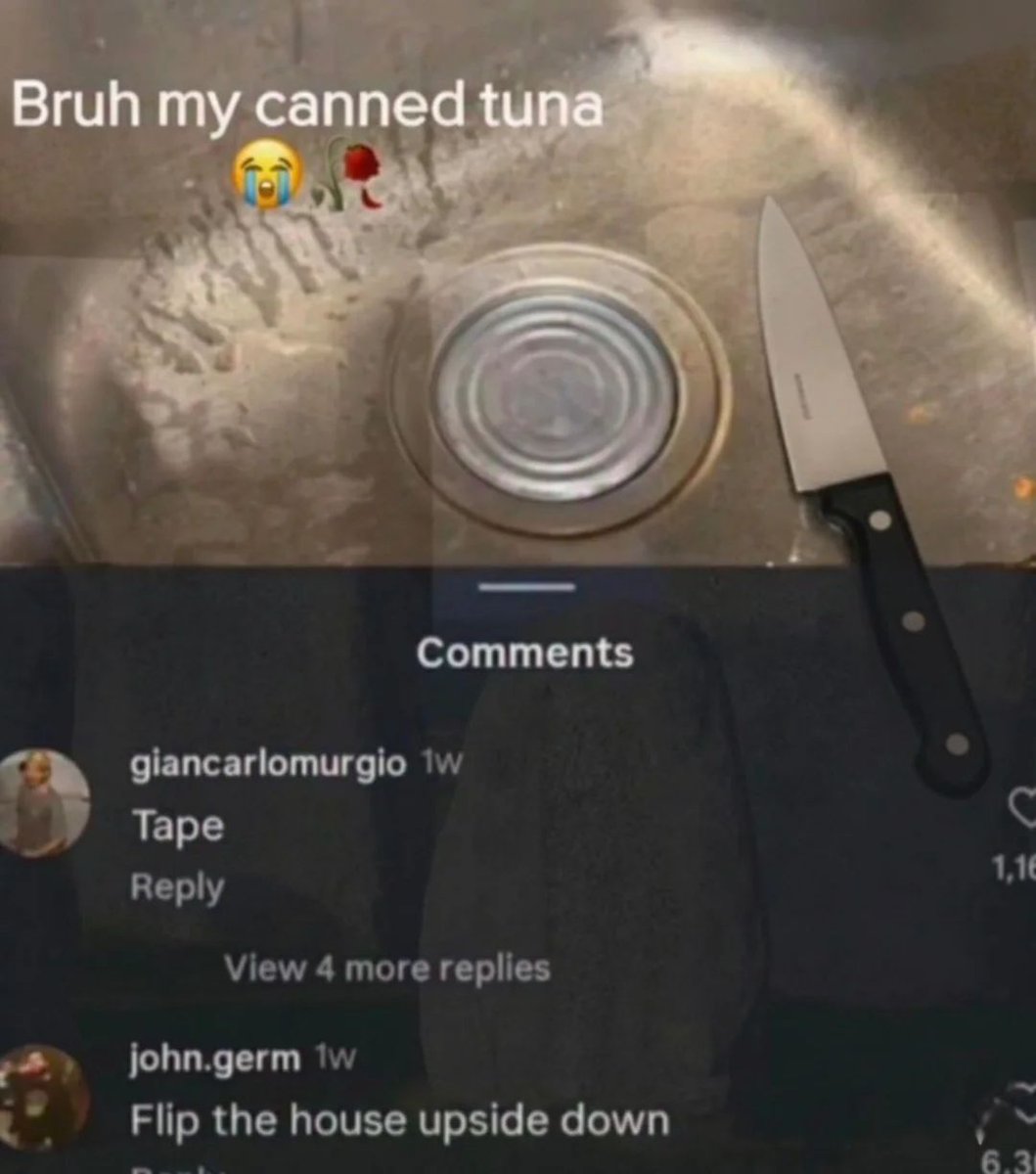 Braindead Bird App tweet media