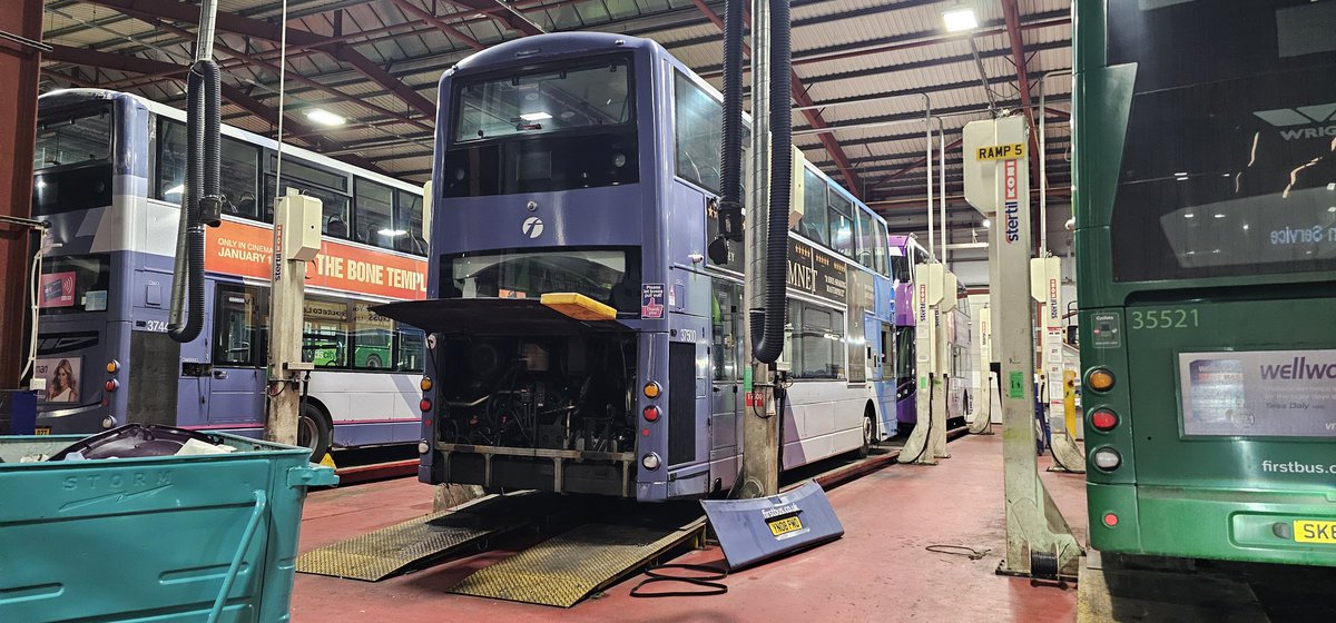 Buses In Depth tweet media