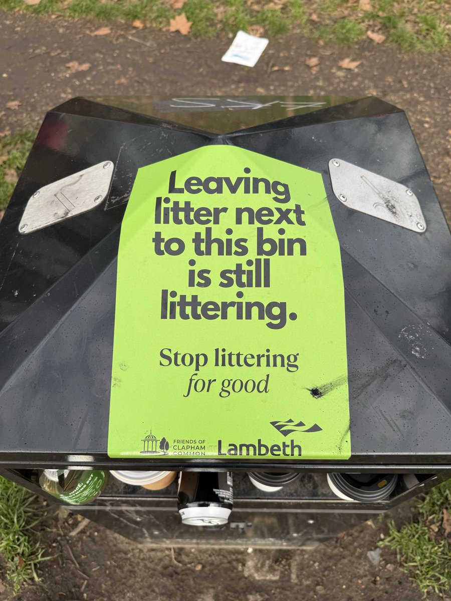 Dale McDermott tweet media