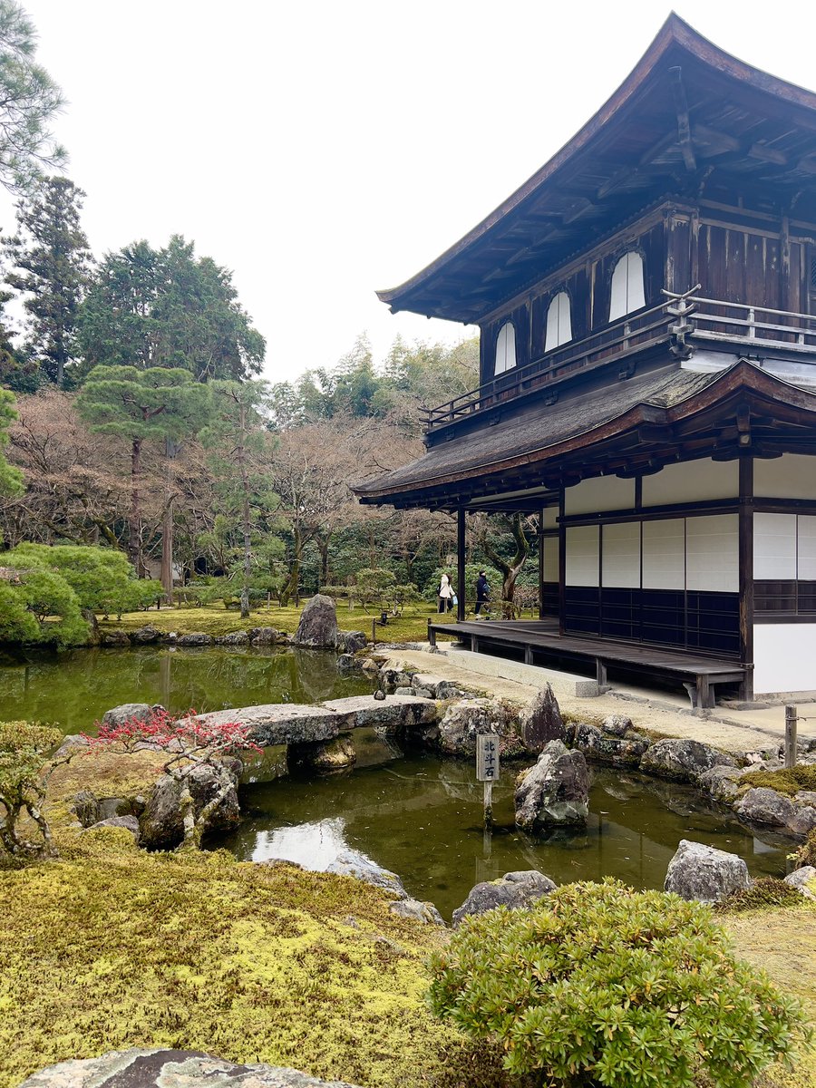 paintskies's tweet photo. Kyoto ti amo https://t.co/JRotLjebdr