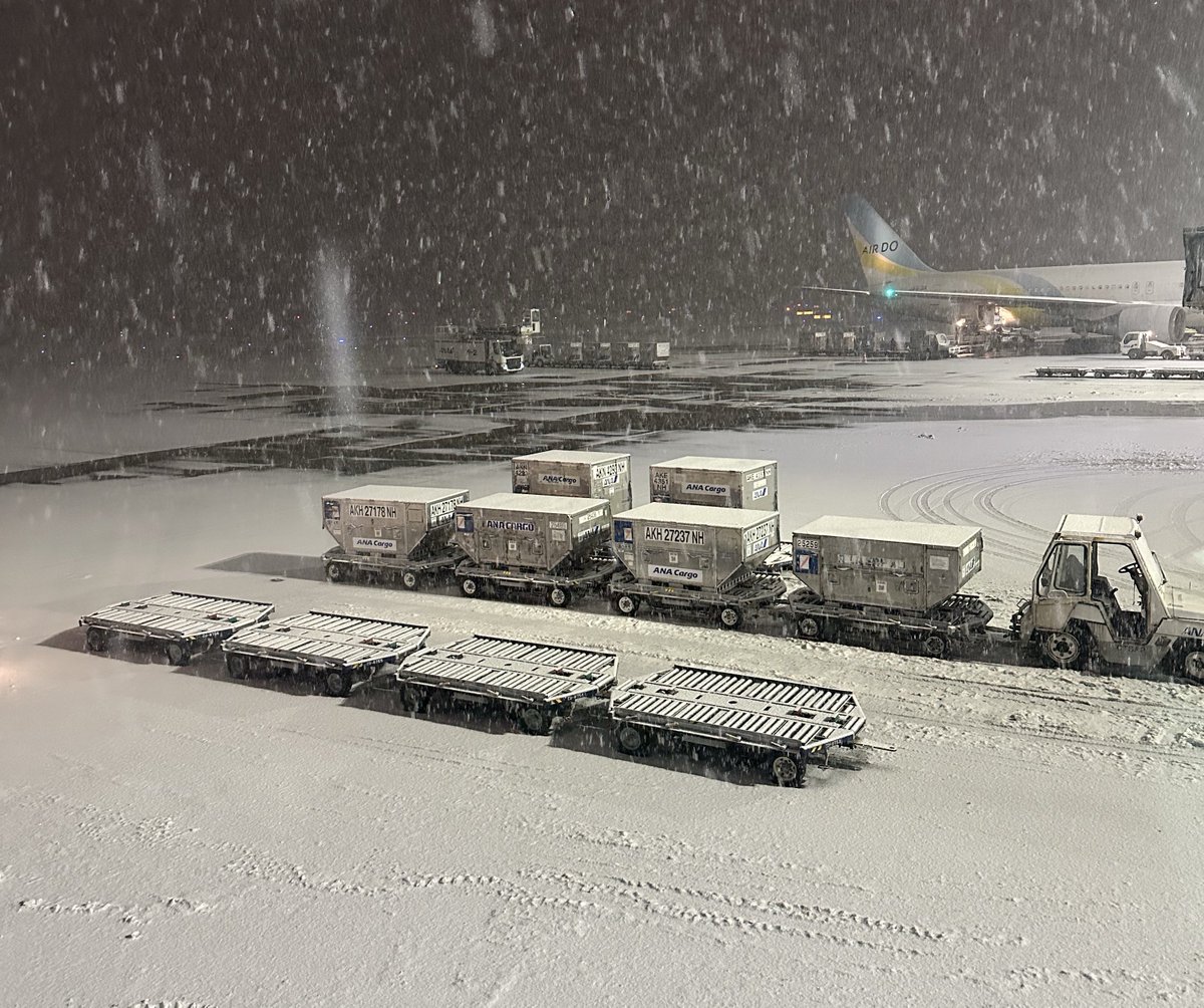 北海道ありがとうございましたっ！！

楽しかったぁぁ
全力応援の喉の痛みが心地いい

お仕事落ち着いたらまたいっぱいAPEXも配信もしたいと思いますっ！🥂

一緒に行ってくれたすのーる、れおちにべりー感謝🙏