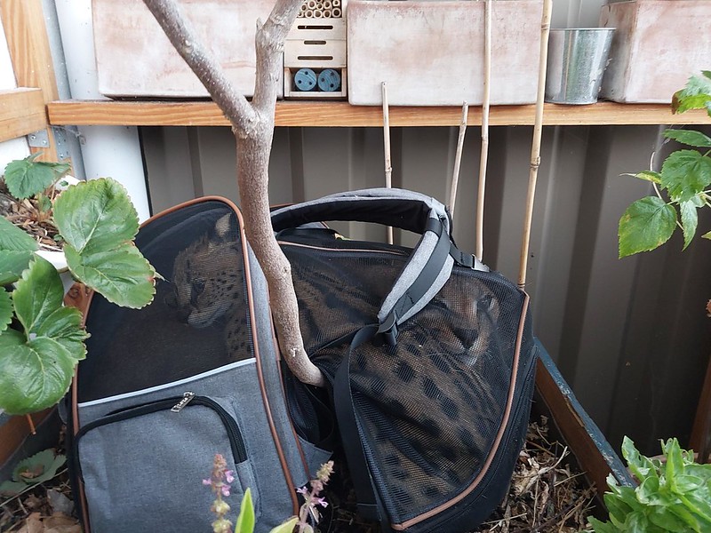 Douane française tweet media