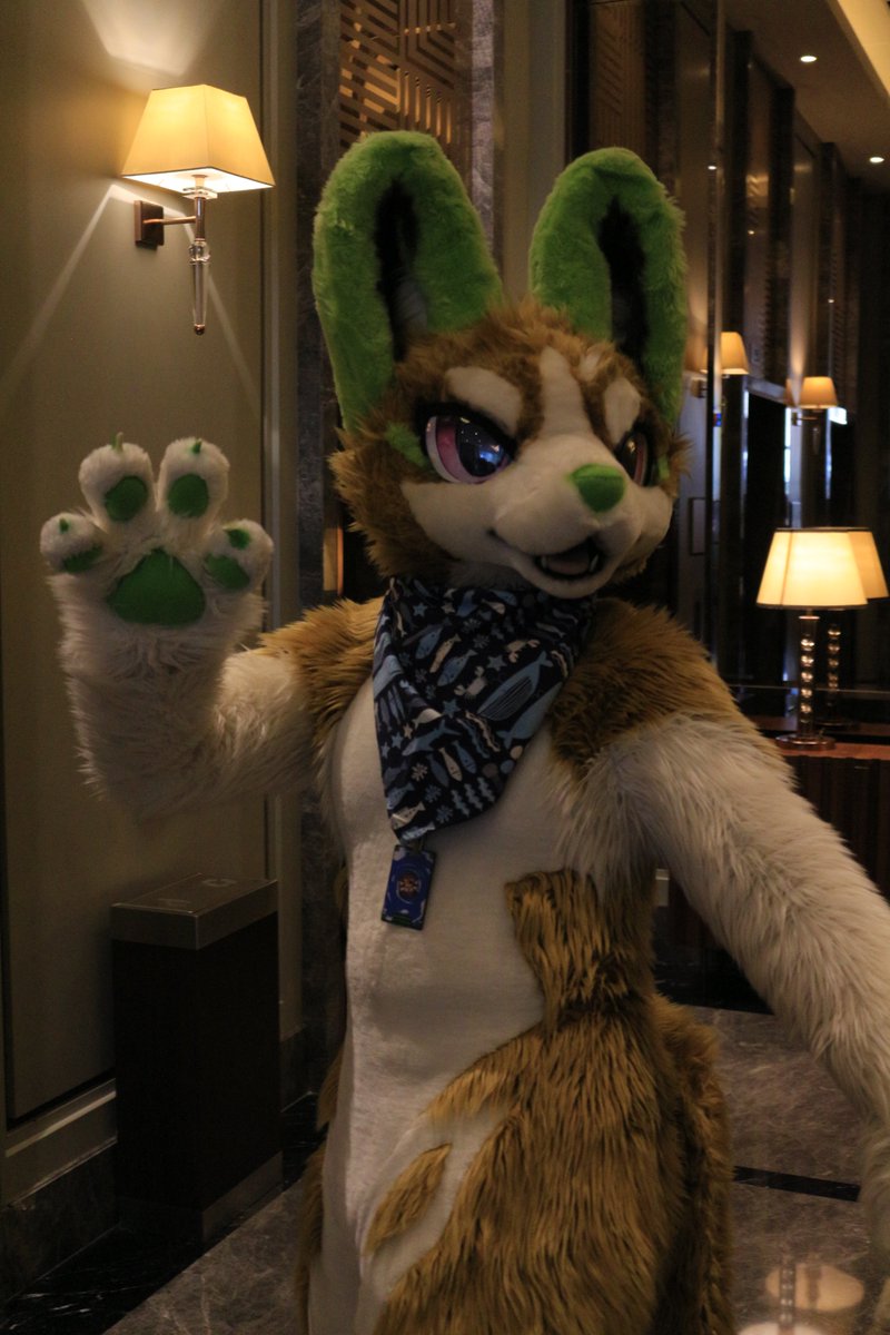 是政　KOREMASA tweet media