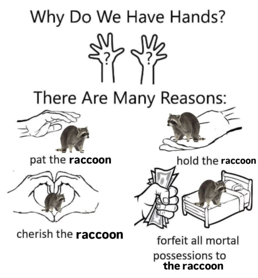 Why you should have a Raccoon tweet media