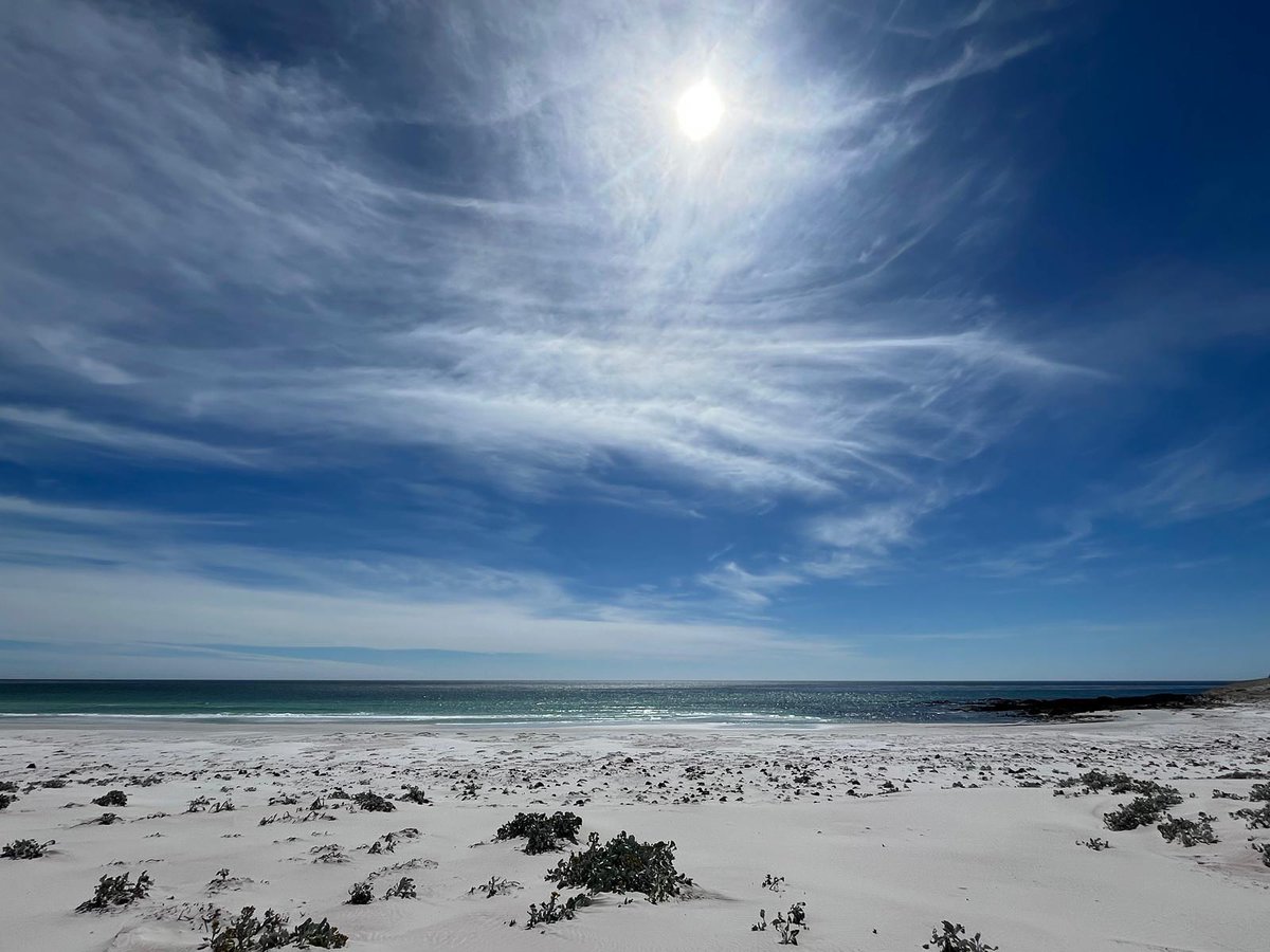 FalklandsinUK tweet media