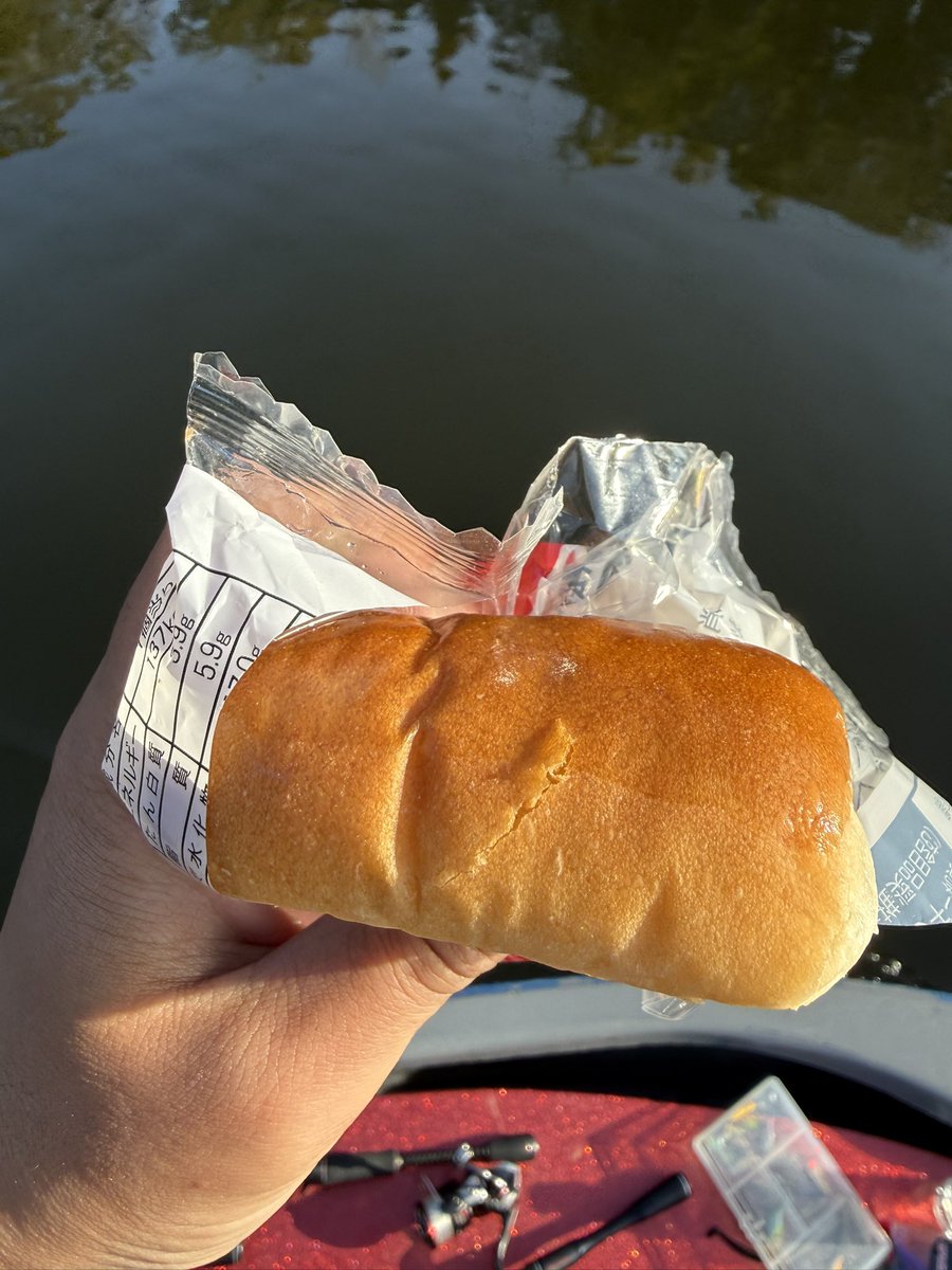 バス釣れねー笑 紙一重

で初めてトンビに襲われた！爪痕少し残して帰られて行きました笑

そんな事より帰りそこらじゅう混みすぎ 栄橋付近は千葉側の土手沿いなんで通行止め?

 #三島湖