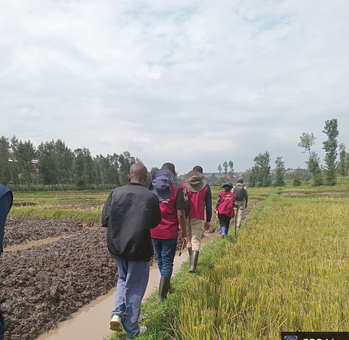 Farmers don’t thrive on encouragement alone, they need tools, practical knowledge, and a dependable support network. At YEAN, we are dedicated to building this network and empowering farmers through every stage of their journey.
