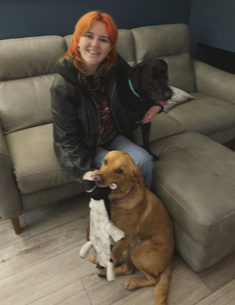 kasey 🍂 tweet media