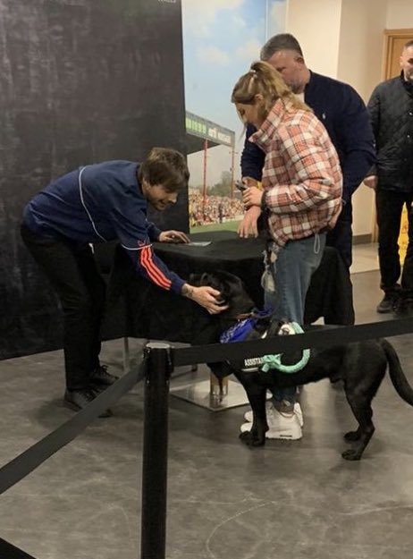 kasey 🍂 tweet media